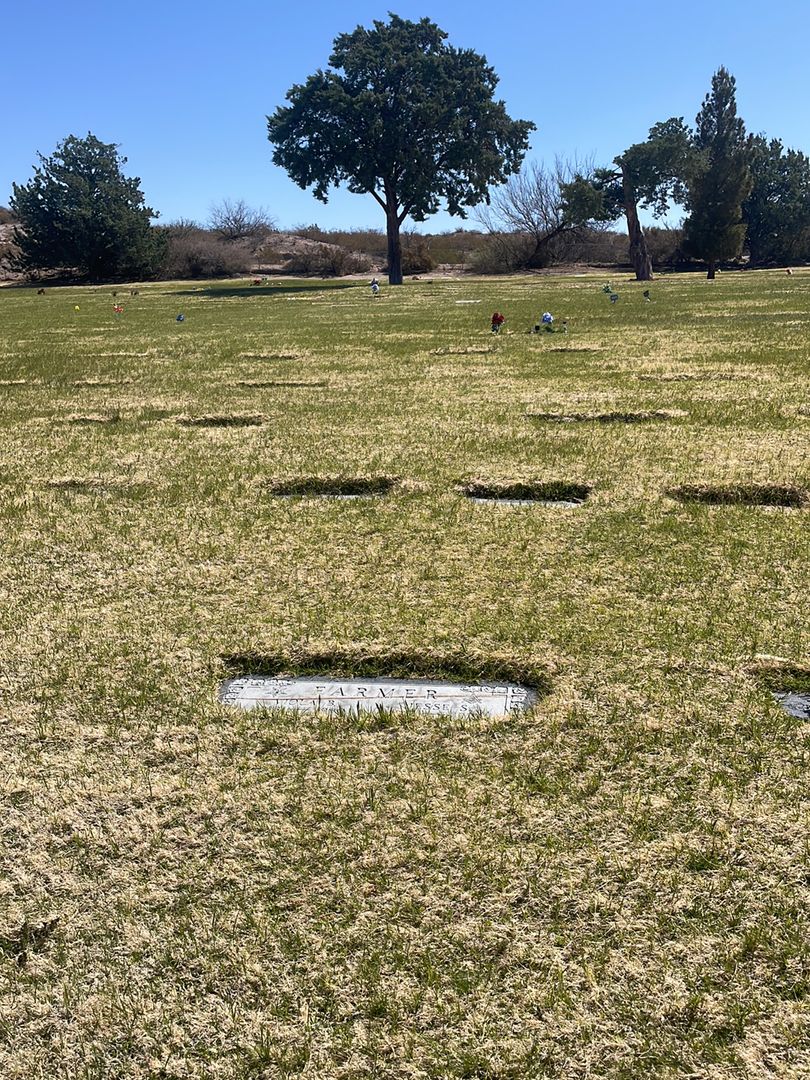 Viola Bunch Farmer's grave. Photo 1