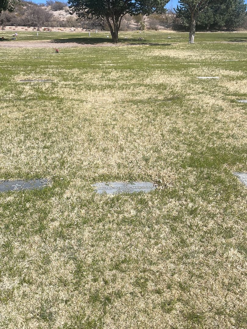 Walter Harold Packwood's grave. Photo 1