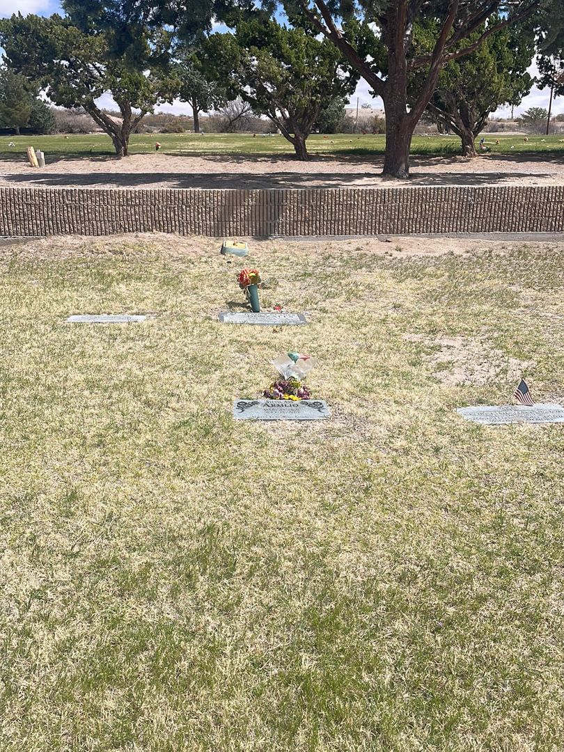 Sylvia Ann Janssens Armijo's grave. Photo 1