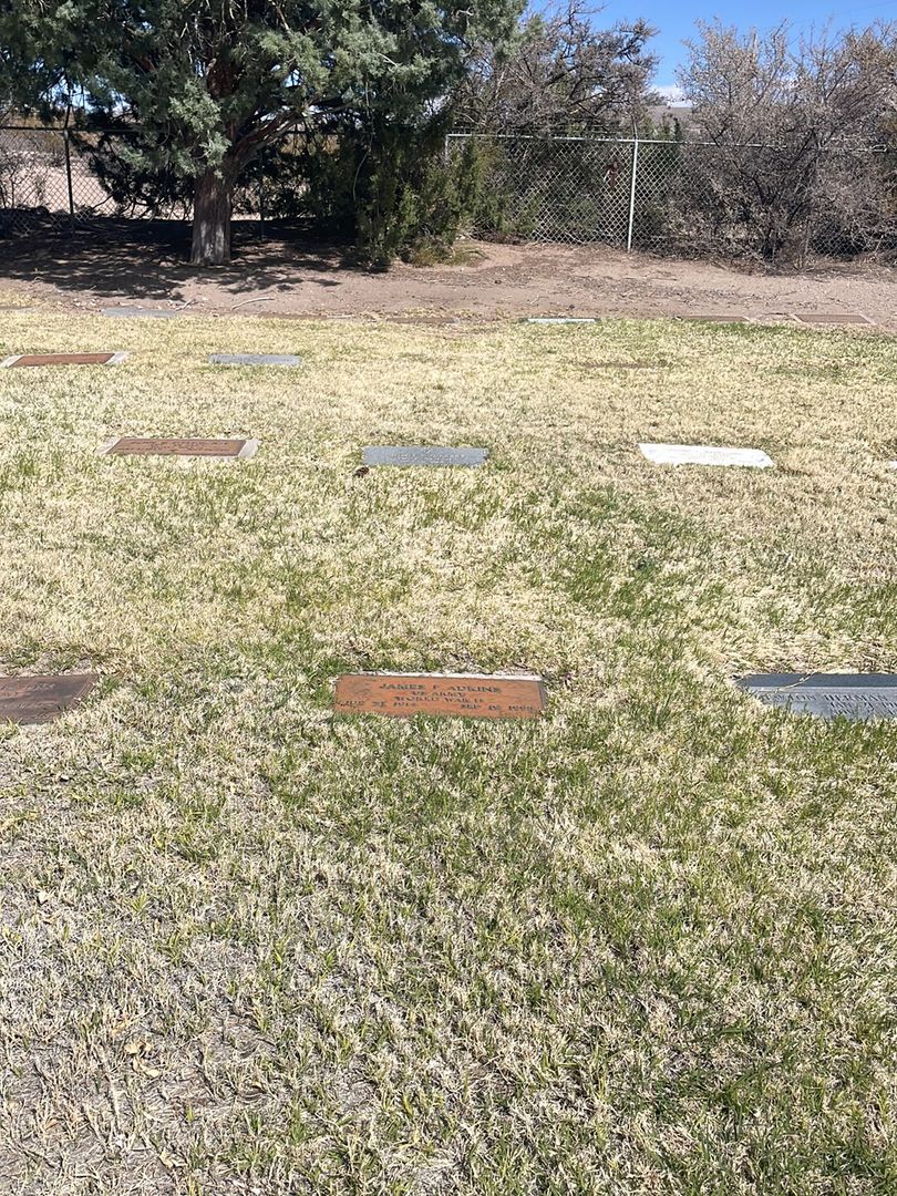 James F. Adkins's grave. Photo 1