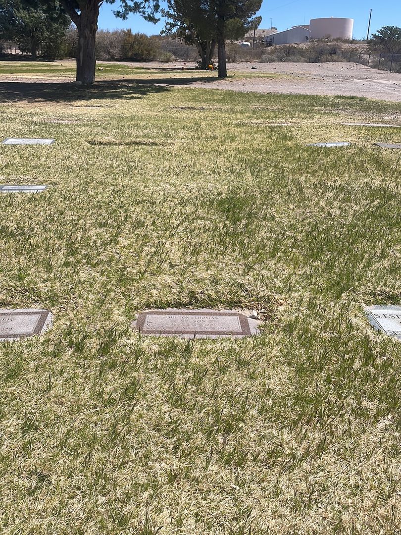 Milton Thomas Nelson's grave. Photo 1