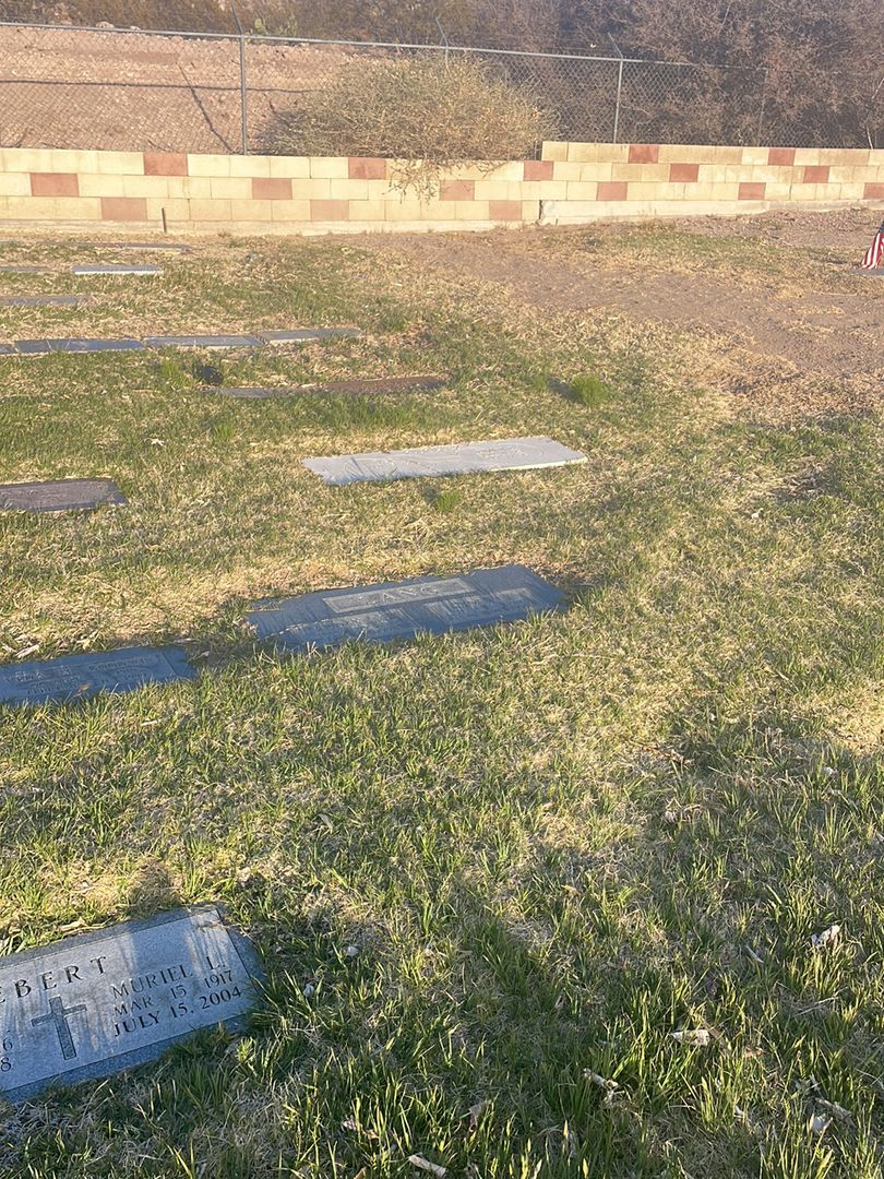 Auday M. Lang's grave. Photo 1
