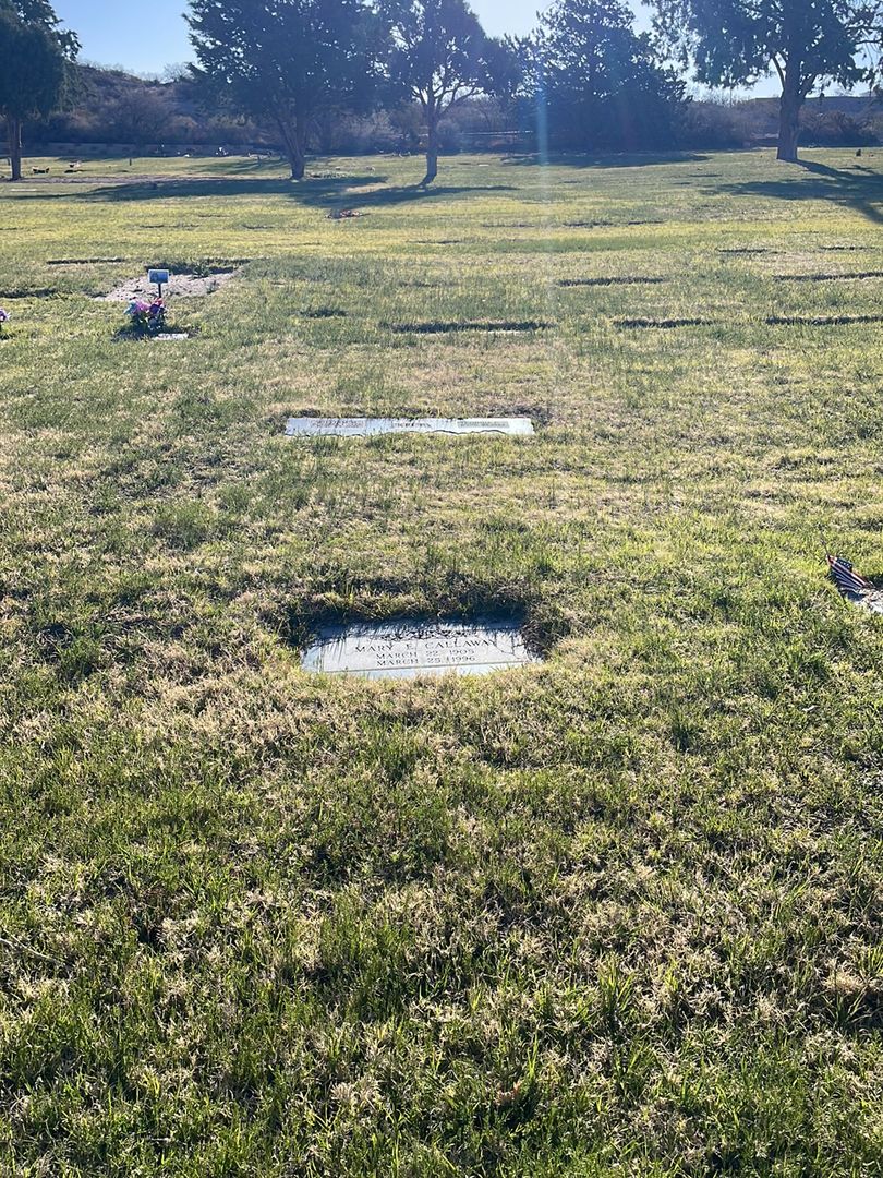 Mary E. Callaway's grave. Photo 1
