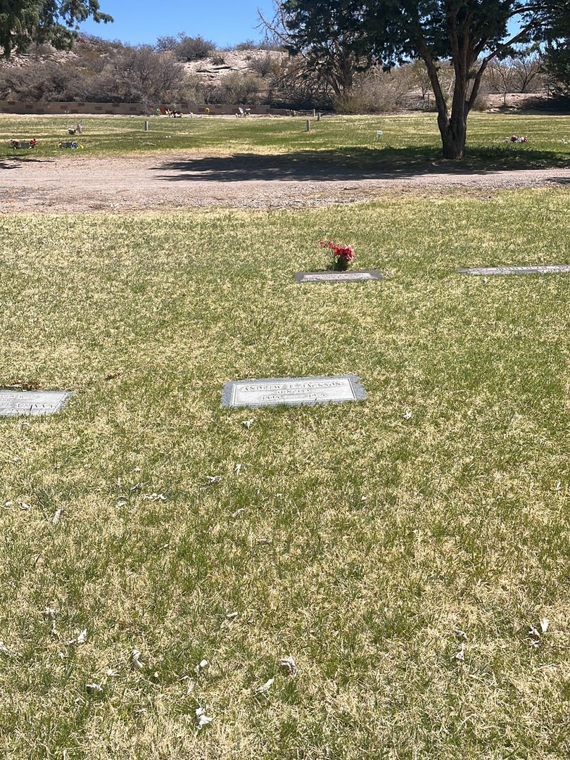 Andrew E. Jackson's grave. Photo 1