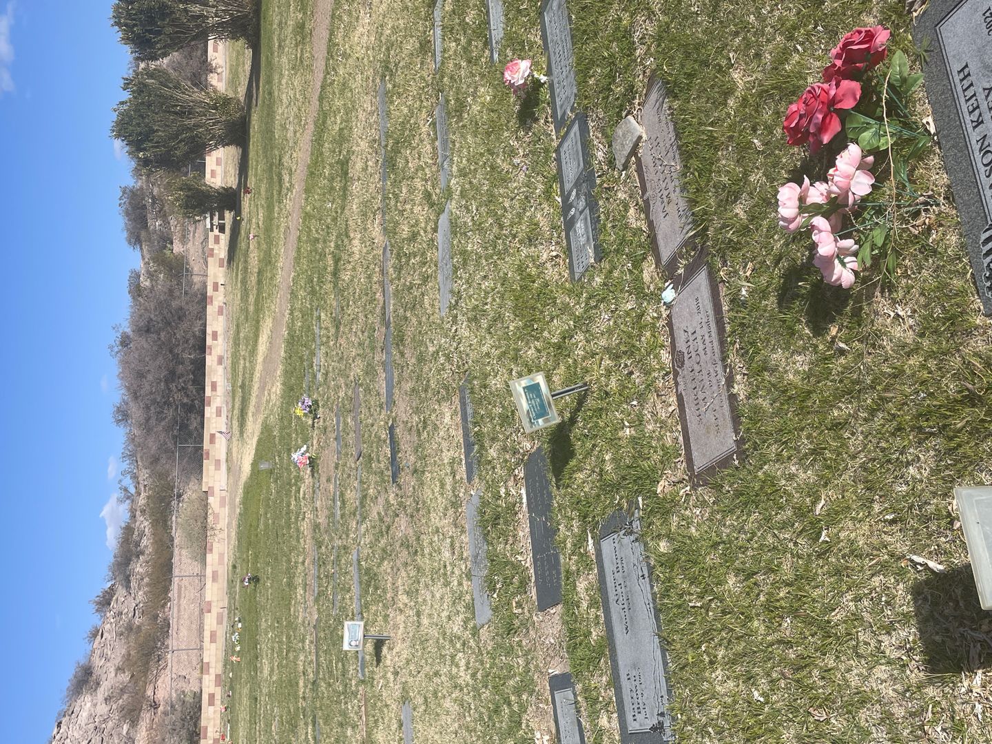 Shirlee Inez Malloch's grave. Photo 1