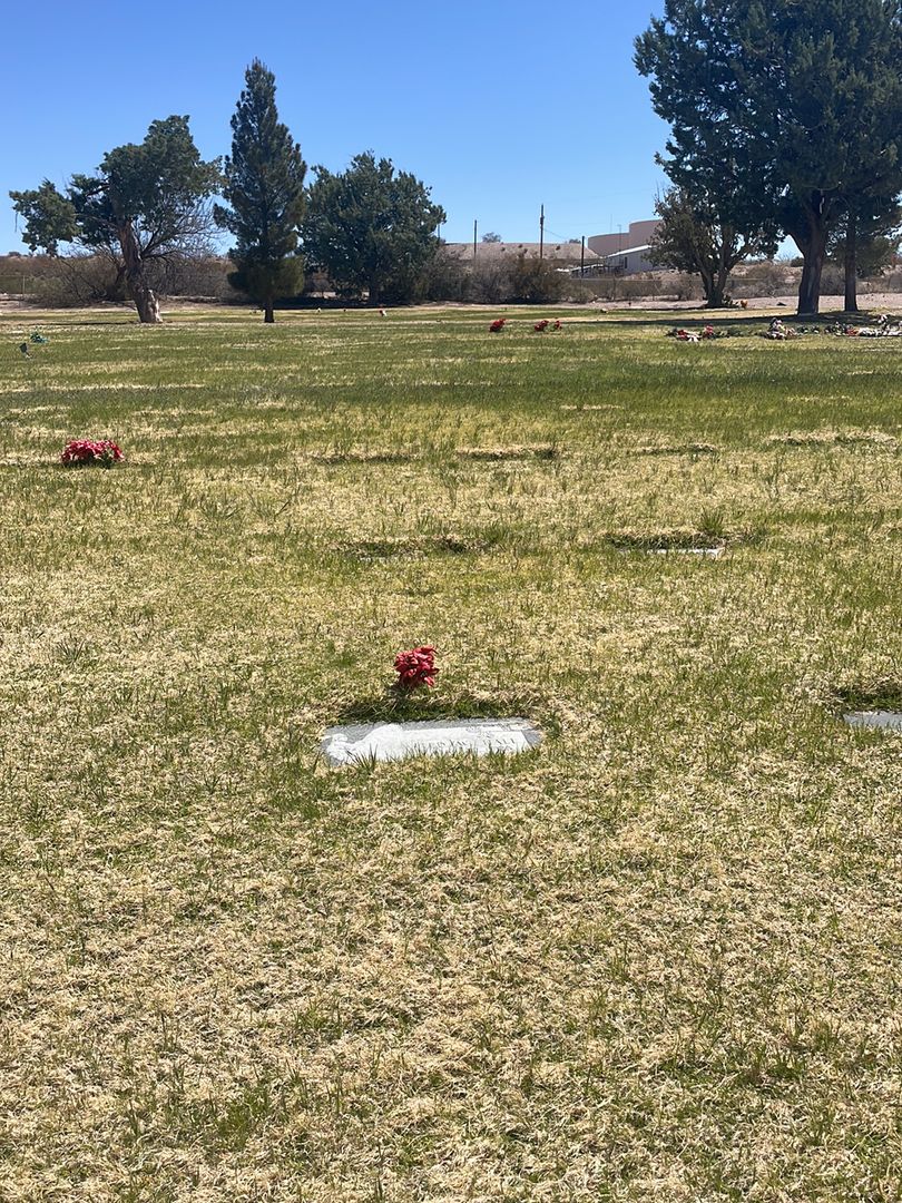 Ted W. Hall's grave. Photo 1