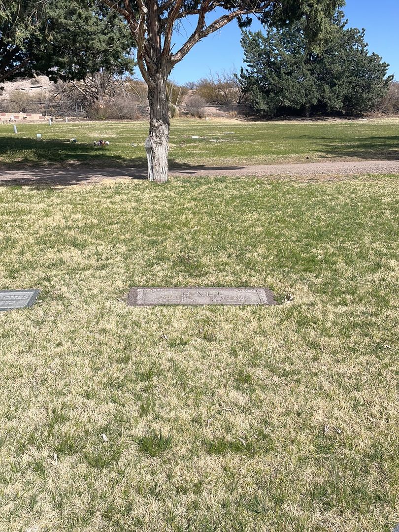 John O. Hall's grave. Photo 1