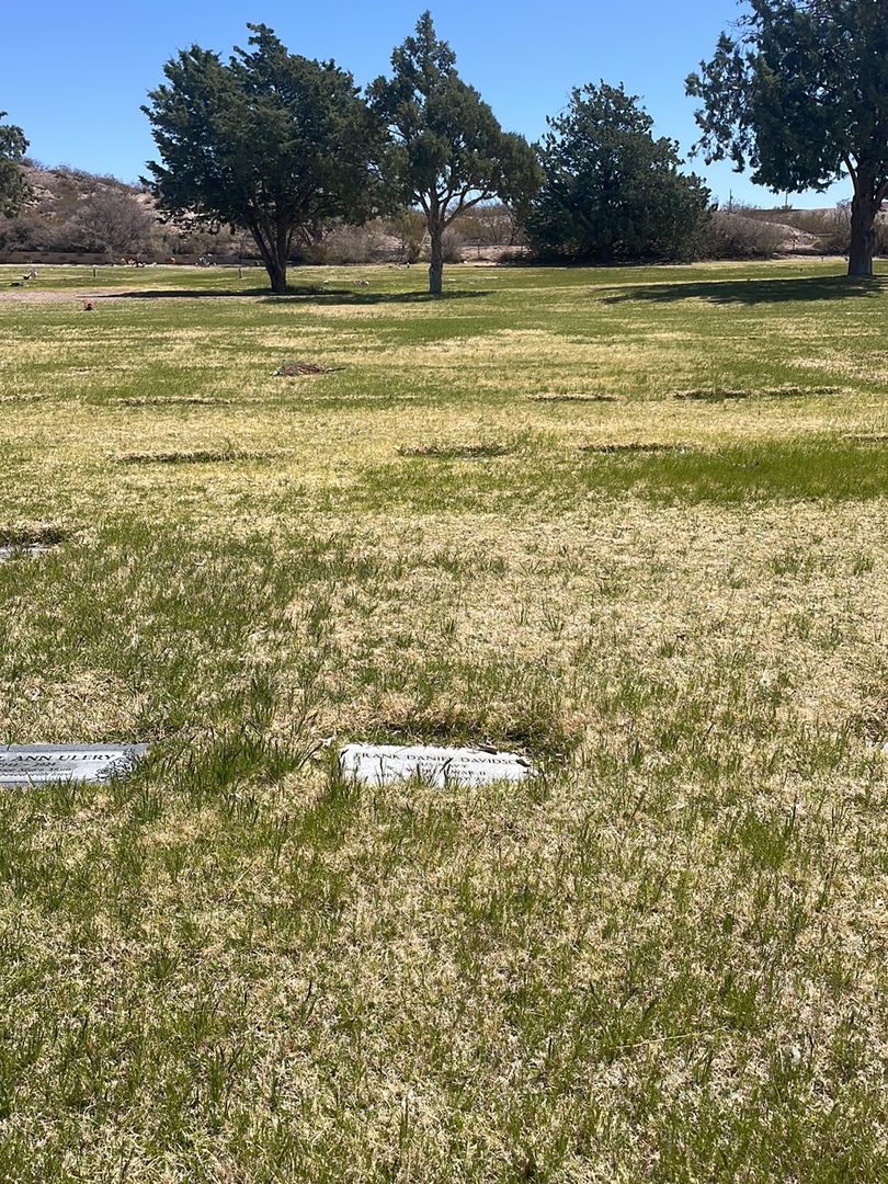 Frank Daniel Davidson's grave. Photo 1