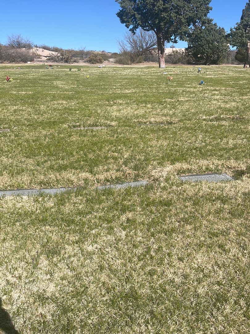 Carol Joyce Rainey's grave. Photo 1