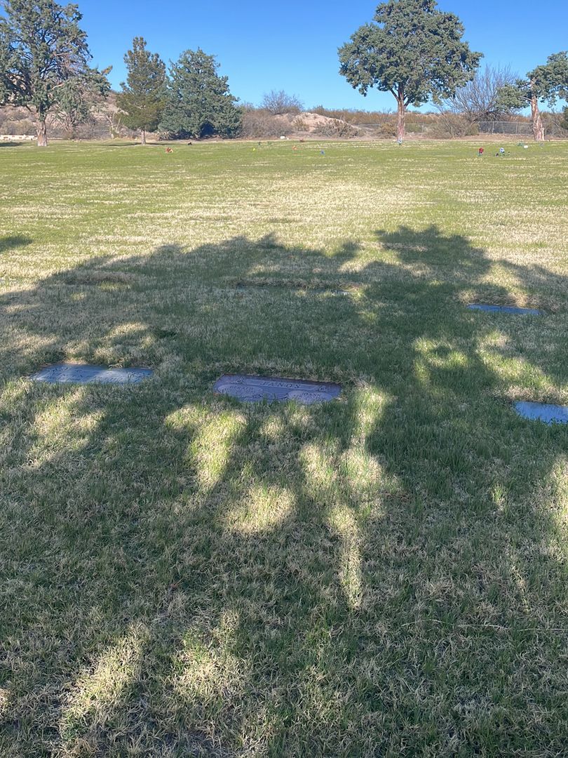 JoAnn Janos's grave. Photo 1