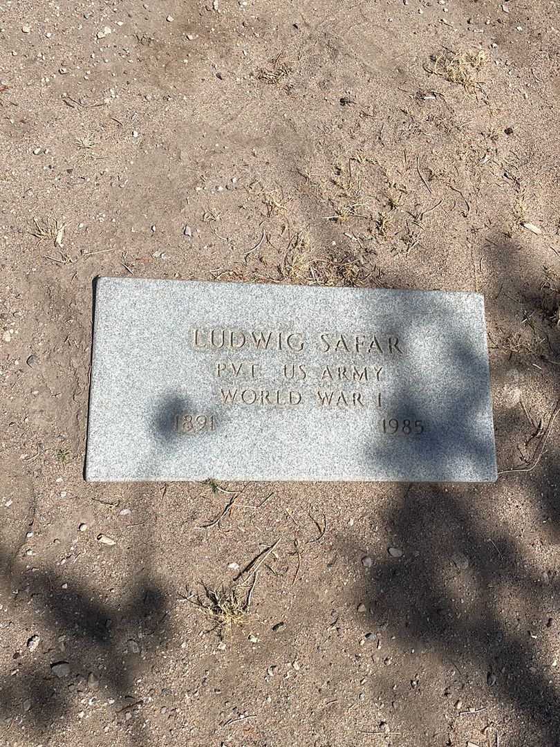 Ludwig Safar's grave. Photo 1