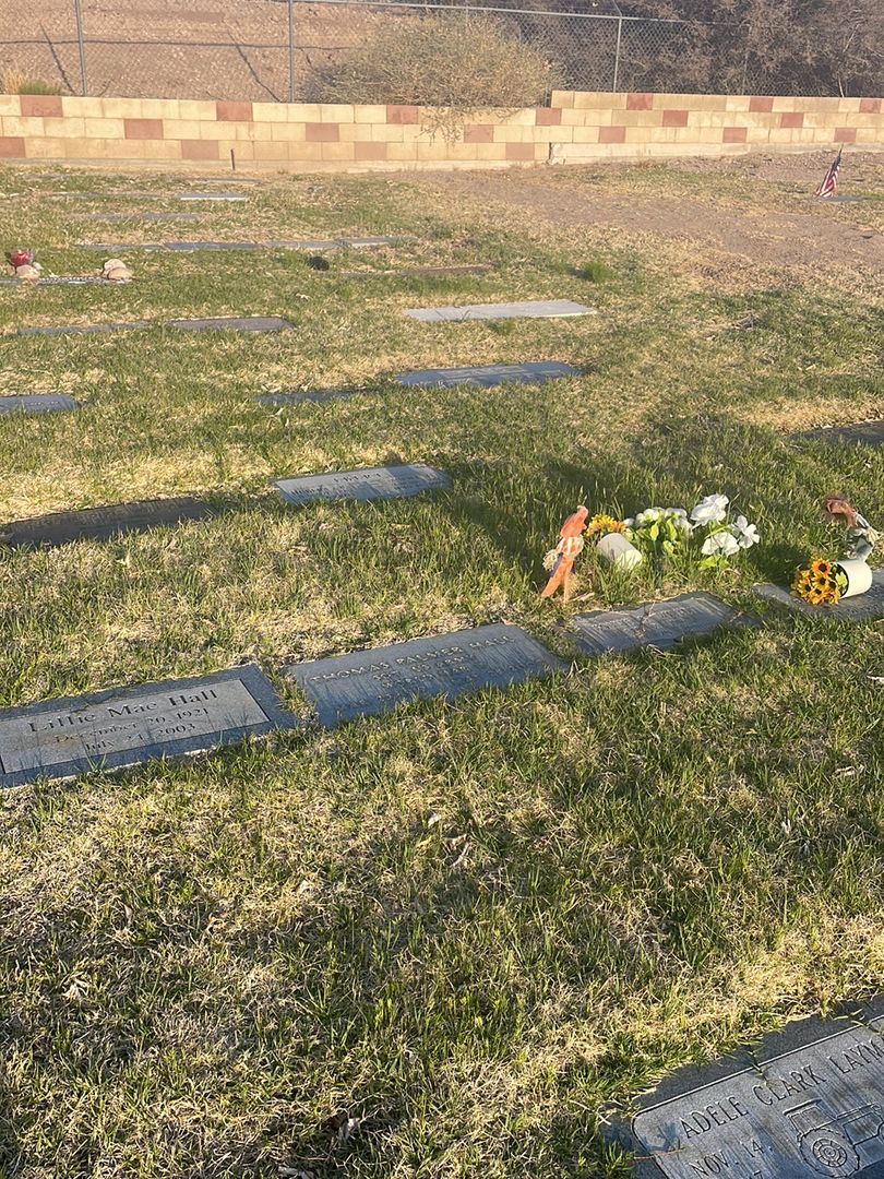 Thomas Palmer Hall's grave. Photo 1